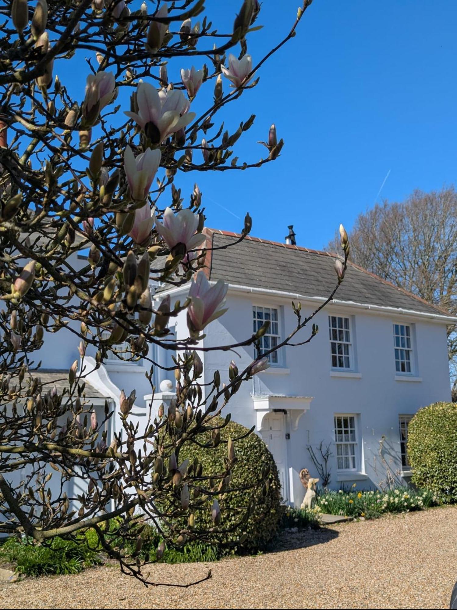 Georgian 2 Bedroom Apartment In Chichester With Free Parking - Chichester Holiday Properties מראה חיצוני תמונה