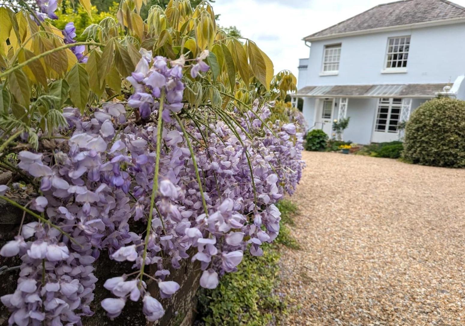 Georgian 2 Bedroom Apartment In Chichester With Free Parking - Chichester Holiday Properties מראה חיצוני תמונה